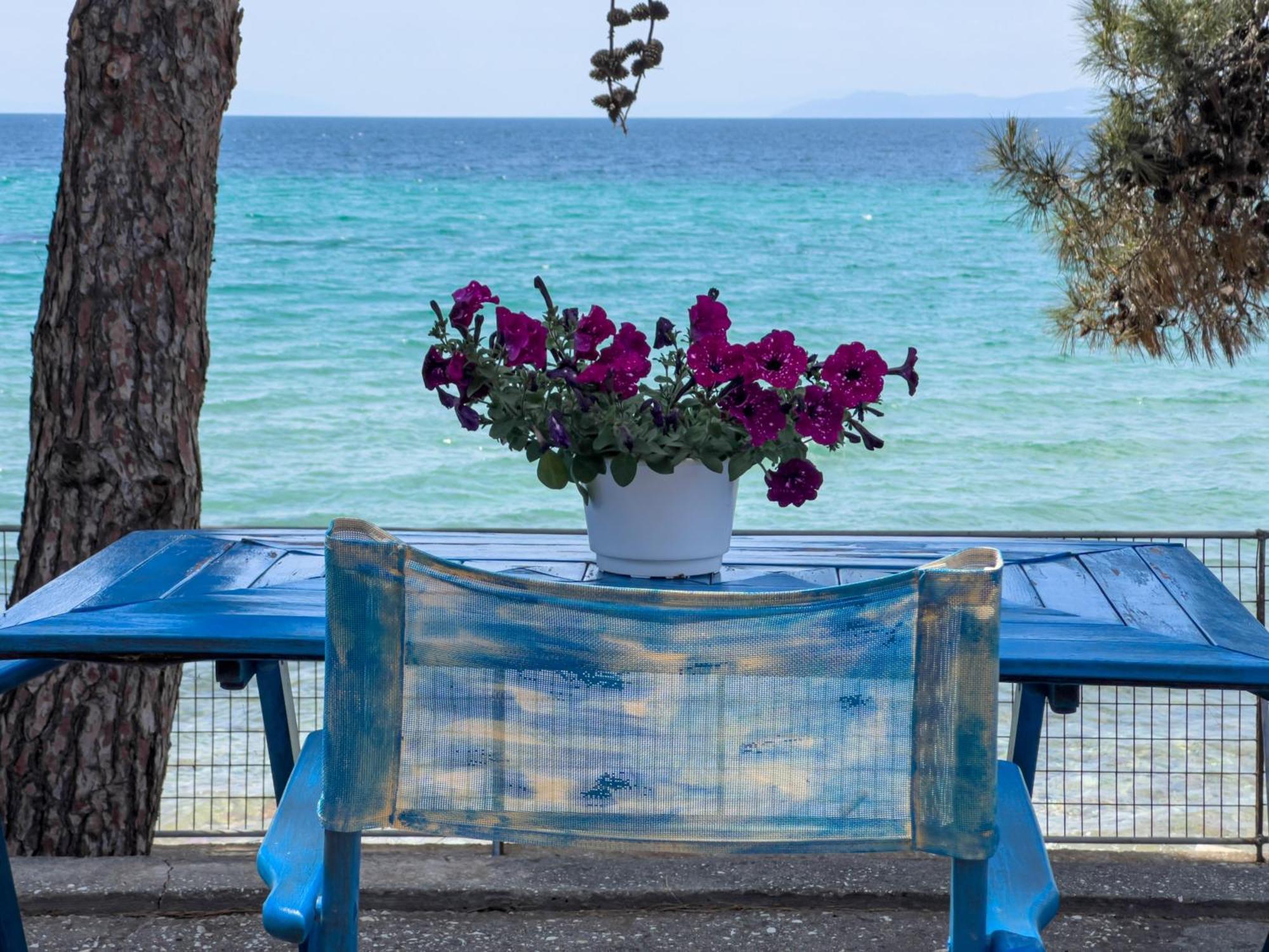 Skála Kallirákhis Pine Beach House מראה חיצוני תמונה